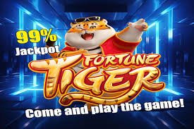 totoitoy Live Casino